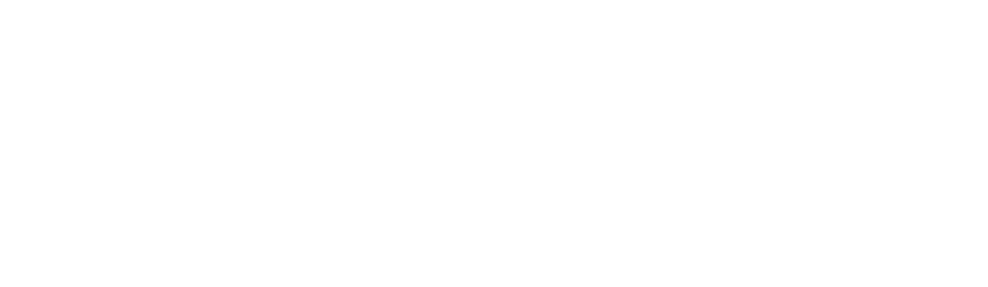 WonderLab logo